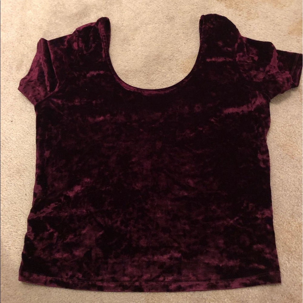 Velvet Crop Top